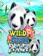 ทดลองเล่นสล็อต xo999 ขวัญใจนักเสี่ยงโชคยอดนิยม